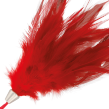 PIUMA ROSSO SCURO 17CM
